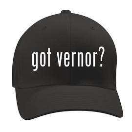 got Vernor? - A Nice Men's Adult Baseball Hat Cap, Black, Small/Medium