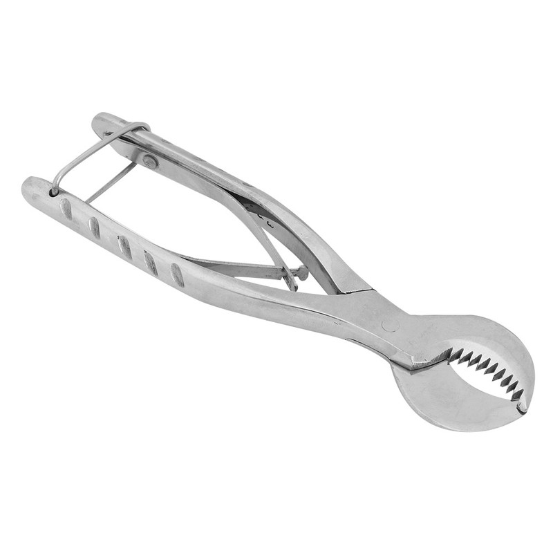Dental Stainless Steel Cutting Pliers Laboratory Plaster Shears Scissor Surgical