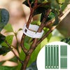 Tree Straps for Staking - 15 Fastening Rope for Young