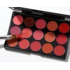 Paleta De Labiales En Crema Profesional Rojo