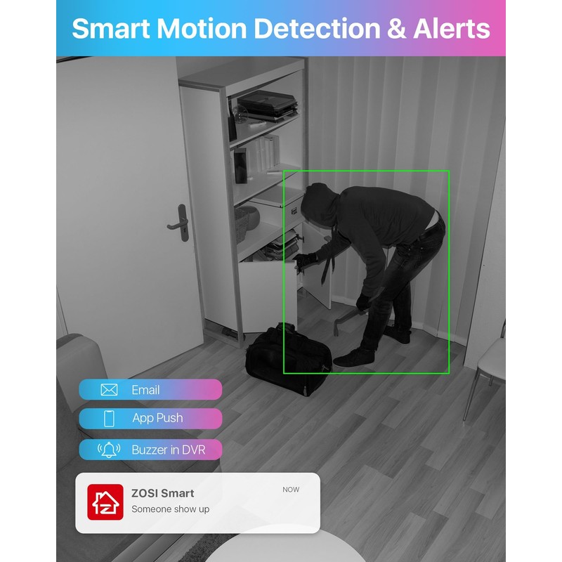 ZOSI 1080P Home CCTV Camera System with Human Vehicle Detection,