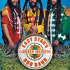 Easy Stars Lonely Hearts Dub Band [VINYL]