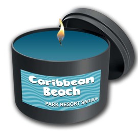 Caribbean Beach - Park Resort Scented Candle - Fragrance Wax Melt Hand Soap Room Spray (14 oz Candle)