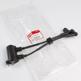 Honda Bobina De Encendido Honda 30500-zv8-g01