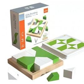 S&F Logic Puzzle, Building Blocks, 5 Levels of Difficulty Levels, 80 Questions, Educational Toy, Brain Training (White & Green)