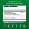 NutraChamps Pycnogenol French Maritime Pine Bark Extract, Premium Circulation Complex,