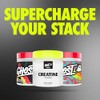 Ghost Monohidrato Creatina Polvo Basics Hombres Mujeres Suplemento Entrenamiento Creapure