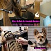 48Pcs Pinzas de Pelo de Cocodrilo, Pinzas para El Cabello