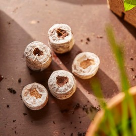 Siena Garden 50 Coconut Pots with Net Diameter 35 mm in Sales Box
