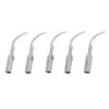 5pcs P1 Dental Clean Machine Tip Stainless Steel Heat Resistance