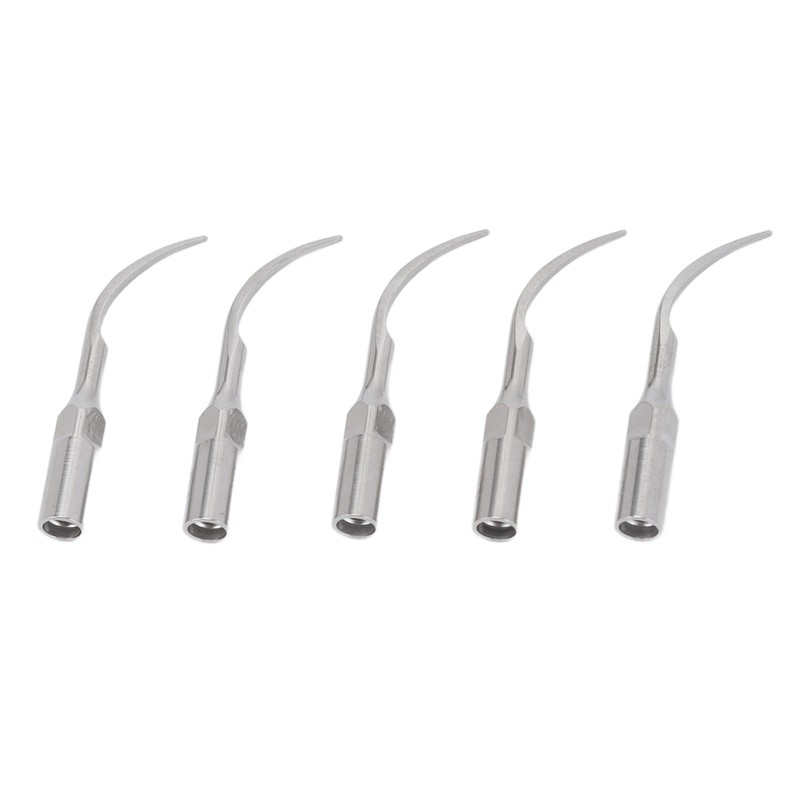 5pcs P1 Dental Clean Machine Tip Stainless Steel Heat Resistance