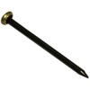 Pack of 50 Picture Pin Brass Head Hangers Wall Hooks