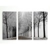 Renditions Gallery Winter Curve 3 Panel Wall Art For Home,