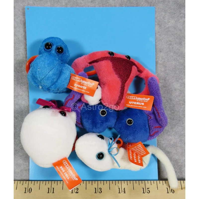 GIANT MICROBES-NEW! LET'S GET IT ON THEME BOX-Egg Sperm Zygote