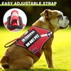 Service Dog Harness and Leash Set, Training Dog Vest with