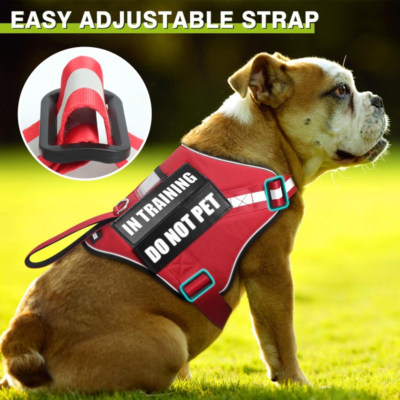Service Dog Harness and Leash Set, Training Dog Vest with