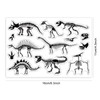 PH PandaHall Clear Stamp Rubber Stamp Paleontology Dinosaur Bone Art