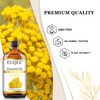 EUQEE Helichrysum Essential Oil 4 oz/118 ml Large Bottle Premium