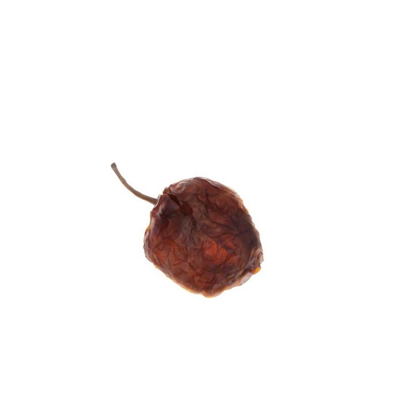 4oz Dried Habanero Peppers by 1400s Spices