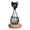 Weather Predictor Cat Bottle Black Ergonomic Rugged Glass Weather Predictor