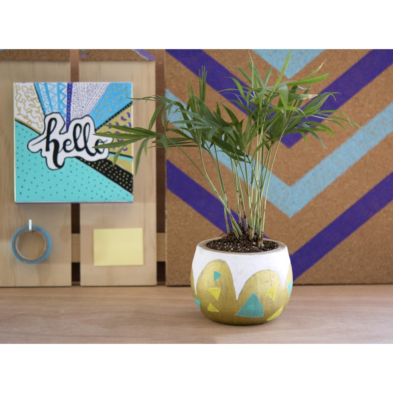 Pilot Pintor - Pack of 4 - Black - Extra