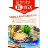Live Ezo Abalone Set (2.1 / 2.4 oz (60/70 g),
