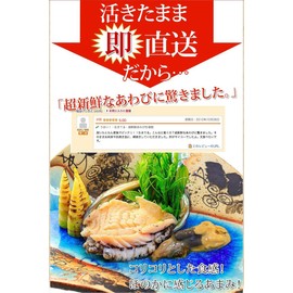 Live Ezo Abalone Set (2.1 / 2.4 oz (60/70 g), 4 pieces, Please specify the delivery date and time for living