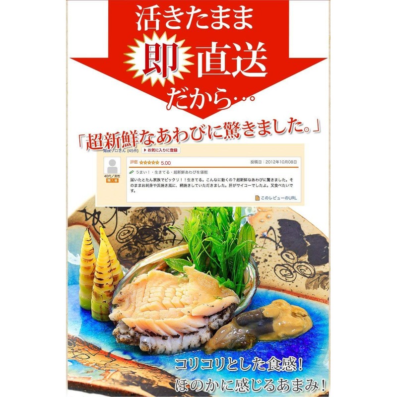 Live Ezo Abalone Set (2.1 / 2.4 oz (60/70 g),