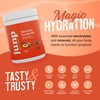 JUNP Electrolytes Powder No Sugar No Carbs, Orchard Fresh Juicy
