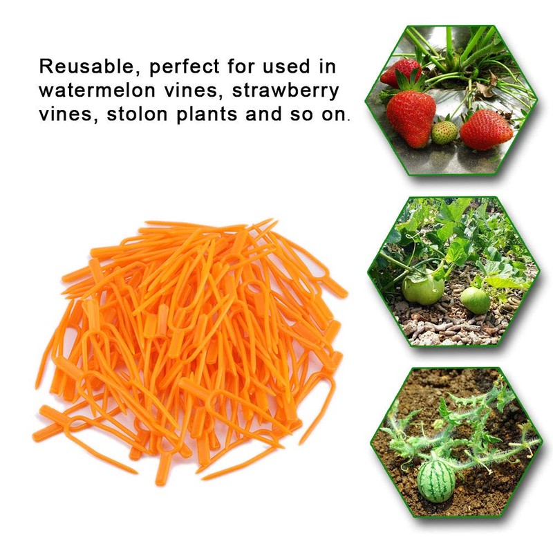 100Pcs Gardening Plant Fixing Clips, Reusable Plastic Stolons Fastening Vines