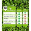 ZESTIGREENS Microgreens Kit: Self-Watering Tray, Seeds, Mats, Bamboo Frame -
