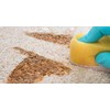 Capture Spot and Stain Remover Carpet - Dirt, Juice, Coffee,