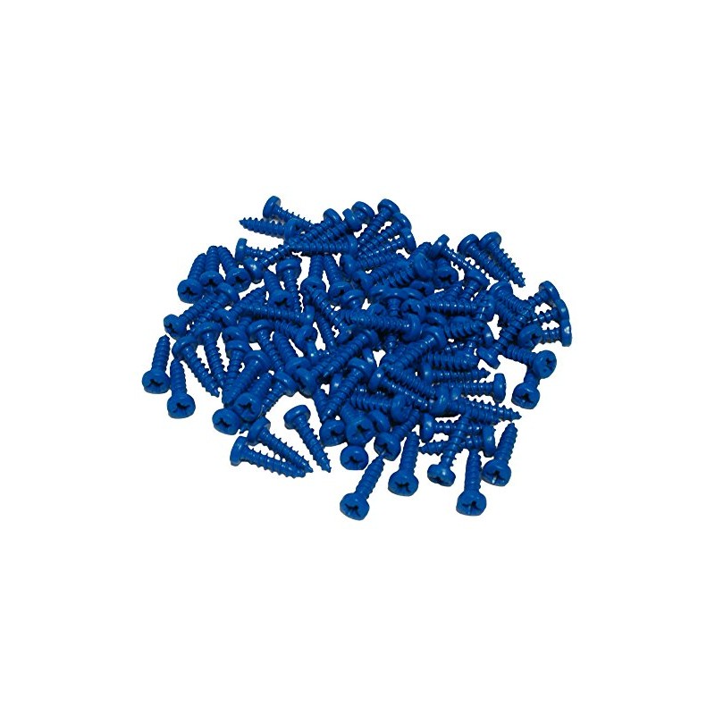 Cora 000116013 100 Fixing Screws Kit for License Plate, Blue