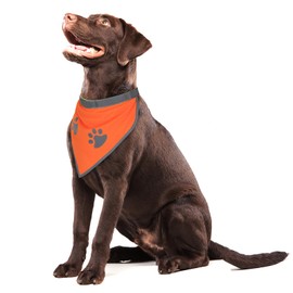 1 PCS Blaze Orange Dog Bandana- Hi-Vis Safety Vest for Hunting, Camping & Off-Leash Exploration | Reflective Dog Collar Gear