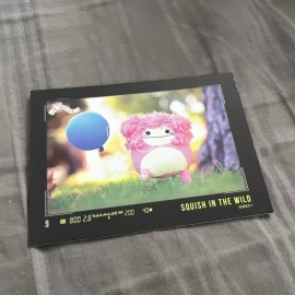 Kellytoy Squishmallow Trading Card Brina In the Wild