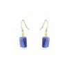 Kyanite Raw Nugget Earrings in 14k Gold Fill