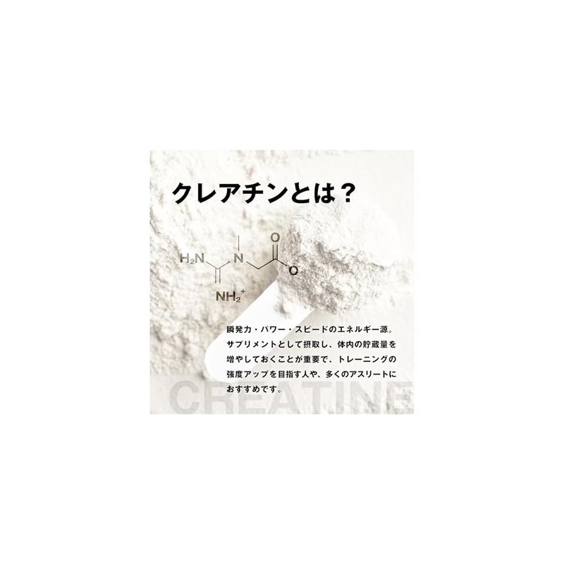 DNS 웨이 프로틴 SP 630g 200g 40회분) HMB DNS Whey