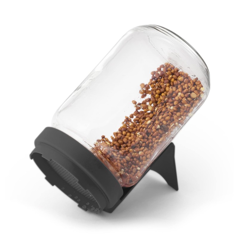 FLORTUS Sprout Jar Set with Strainer Lid & Integrated Stand