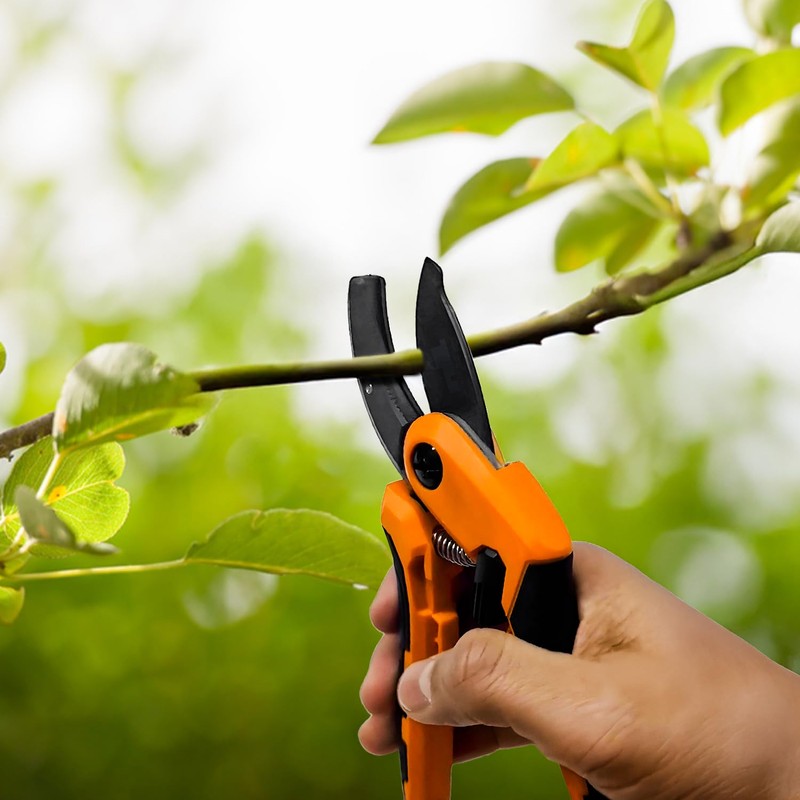 Garden Secateurs Pruning Scissors | Bypass Hand Secateurs with Ambidextrous