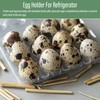 QIUMING 12 Grid Quail Egg Boxes Quail Egg Boxes Quail