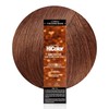 L'OREAL TECHNIQUE HiColor Browns & Blondes Permanent Hair Color -