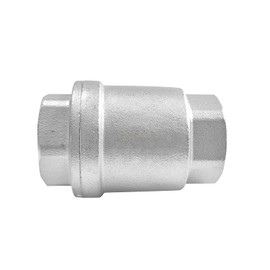 BesNPT 1" NPT Stainless Steel Spring Check Valve,One Way Horizontal and Vertical Inline Water Check Valve for Well, Pump