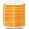 RSP NUTRITION RSP AminoLean Recovery - Post Workout BCAAs Amino