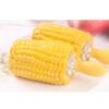 Corn Cob Holders Set, Stainless Steel Corn Skewers for Corn