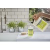 MRS. MEYER'S Mrs. Meyer's Clean Day Liquid Hand Soap Refill,