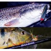Brilisle Fishing Clips snap Quick Change Lures Fast Link Quick