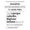 Shampoo de Aloe Vera Orgánico Organic Aloe Vera Shampoo Body