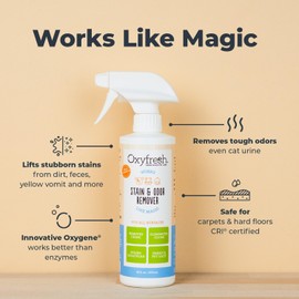 Oxyfresh Advanced Pet Stain Remover & Urine Odor Eliminator – Fast Acting Pet Odor Eliminator for All Surfaces - Best Way to Remove Stains - Dog & Cat Urine Neutralizer