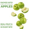Betty Lou's Fruit Bars, Apple Cinnamon Pack of 12, Gluten