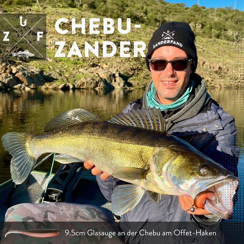 Zanderfang - Rubber fish for zander and perch flavoured with